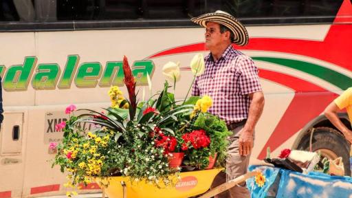 Festival de Flores, Frutos y Artes: Betulia Santander