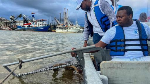 EPA Buenaventura investiga presencia de microplásticos en peces comerciales por riesgo ambiental y sanitario