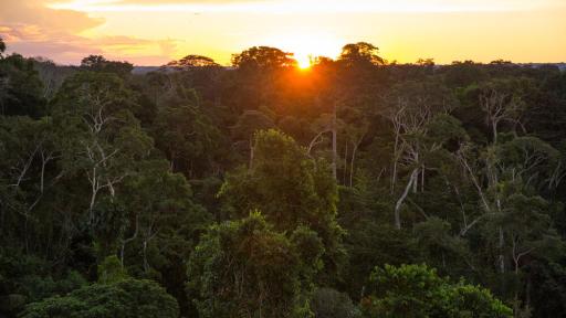 Amazonía de Perú: indígenas denuncian contaminación por mineras
