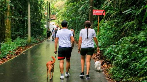 Villavicencio: turismo rural liderado por reincorporados 