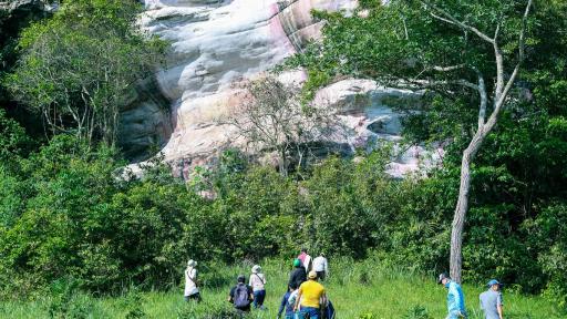 Patrimonio arqueológico Meta: municipios y tesoros 