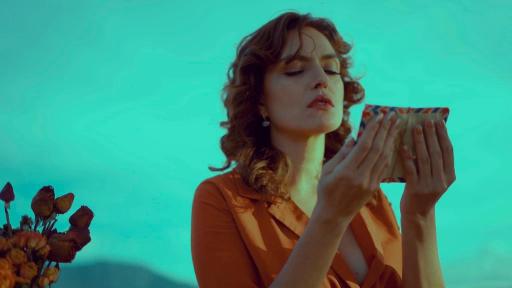 Descargar música gratis: Ojalá nos crucemos otra vez de Victoria Sur