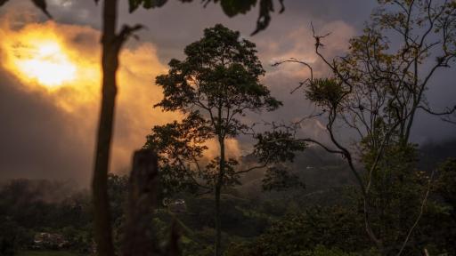 Incendios forestales en Colombia: cuántos han ocurrido 2024
