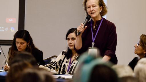 Vera Grabe: séptimo ciclo de negociaciones entre el Gobierno y el Eln