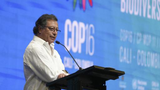 El Gobierno negociará en la COP16 un portafolio de inversión por $160 billones para enfrentar la crisis climática