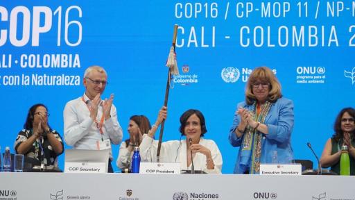 COP16: logros y cifras históricas 