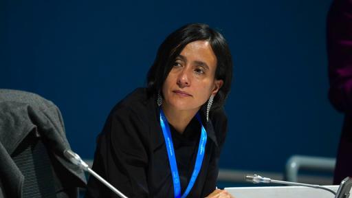 COP29: Colombia propone reforma financiera y alivio de deuda por 10 años para enfrentar desastres naturales