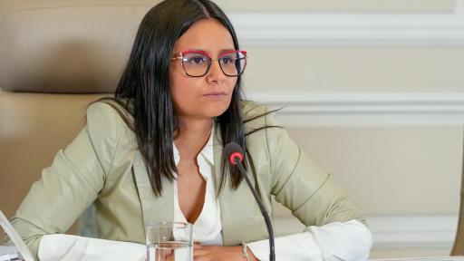 Directora del Dapre denuncia persecución y ataques en su contra