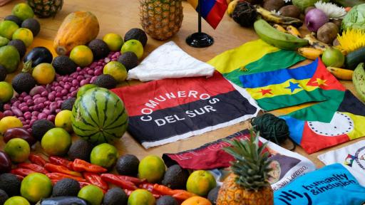 Disminución desplazamiento forzado Nariño diálogos Comuneros del Sur