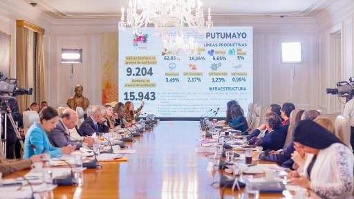Sustitución de cultivos avanza sin glifosato en Colombia