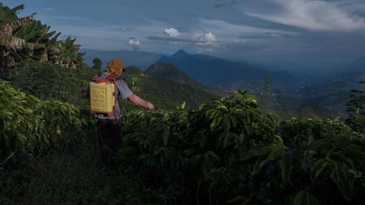 Entrevista con el director de la película ‘La Roya’