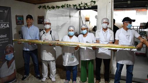 Achira más grande del mundo en Huila, Colombia 