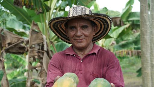 Fondo de Tierras suma 662 mil hectáreas y ADR invierte $161 mil millones de pesos