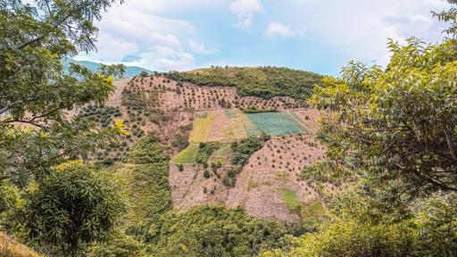 ANT entrega 6.216 hectáreas a campesinos y víctimas en el Catatumbo