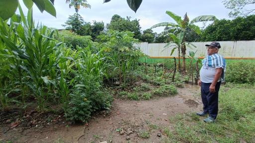 Mesetas: jardín siembra esperanza en un hogar geriátrico