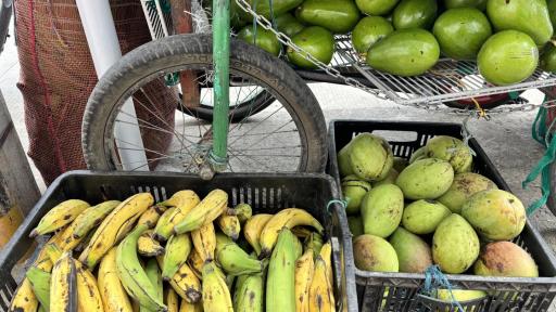 Día Internacional de los Vendedores Ambulantes en Colombia 2025