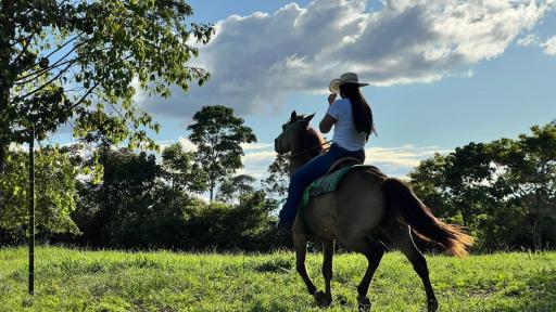 Papel de las mujeres araucanas en el llano