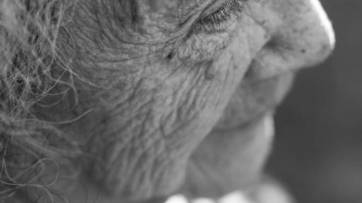 Día Internacional de la Eliminación de la Violencia contra las mujeres