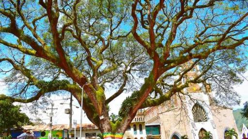 Emisoras de paz: Algeciras reescribe su historia a través de la radio