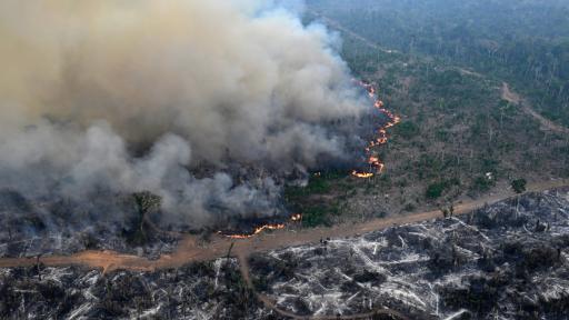 Amazonía: incendios han alcanzado el tamaño de Colombia