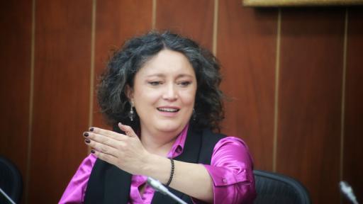 Centro Democrático retiró su apoyo a Angélica Lozano 