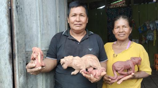 Arte en madera comunidades indígenas Colombia