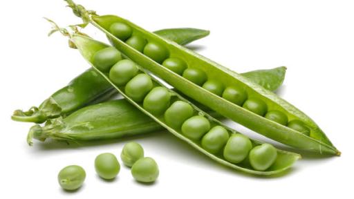 Nariño se consolida como el principal productor de arveja en Colombia