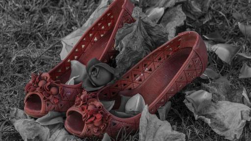 Asesinato de mujeres en Cali 