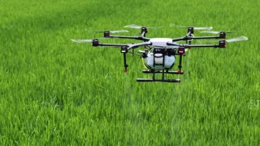 Gobierno autoriza aspersión con drones cultivos ilícitos