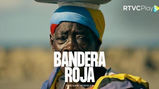 Premios Macondo 2025: mira online las películas colombianas destacadas