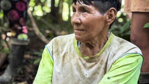 El pueblo Barí: los hijos del Catatumbo 
