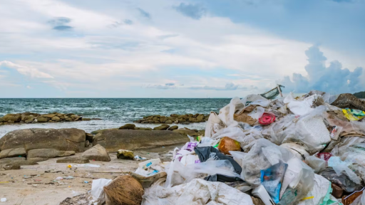 Los culpables de que tanta basura de las playas acabe en el océano no son los turistas, somos todos