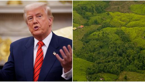 Certificación antidrogas EE.UU a Colombia: fecha renovación