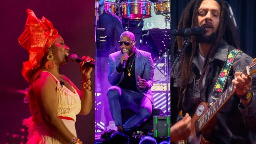 RTVC: Concierto de la Esperanza en Buenaventura 7 diciembre | Artistas 