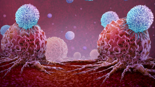 Inmunoterapia celular con linfocitos infiltrantes de tumor: ya podemos despertar al sistema inmunitario para que aniquile el cáncer