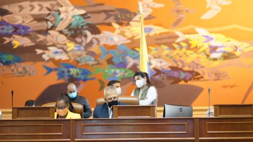 Cámara de Representantes sí votaría moción de censura contra MinDefensa