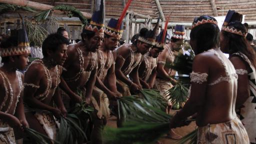 Comunidades indígenas de Colombia y sus lenguas nativas