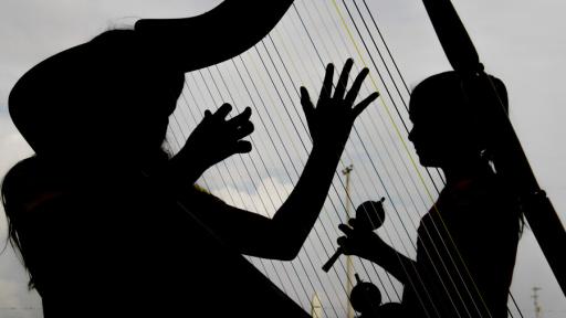 Joropo: qué es, cómo se toca y compone | Música colombiana