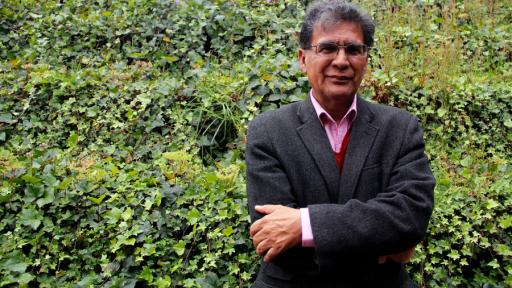 Indepaz sobre cese bilateral al fuego