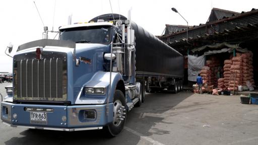 Transportadores de carga 