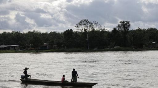 ¿Qué se puede hacer para lograr una pesca sostenible?