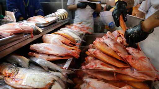 Pescado en Semana Santa: 30 mil toneladas disponibles en Colombia