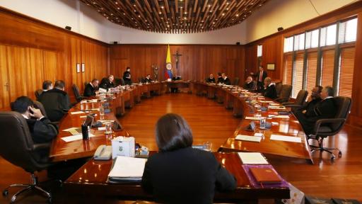 Conflictos entre padres biológicos y de crianza