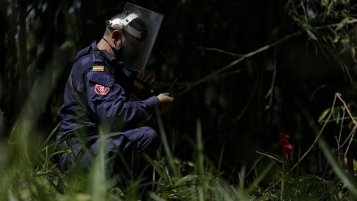 Soldados de desminado humanitario 