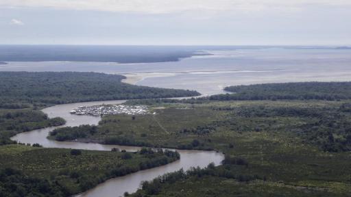 Comunidad Awá en Nariño: denuncian asesinato de tres líderes