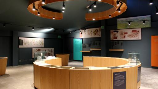 Museo Arqueológico Nueva Esperanza