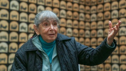 ‘Bruma’: exposición de Doris Salcedo y Beatriz González | lugar y fecha