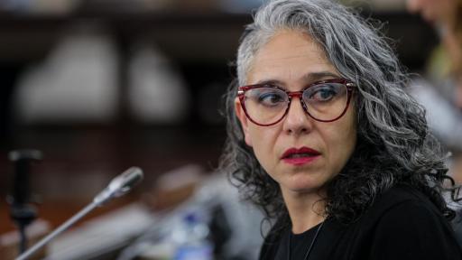 Audiencia de Comisión de la Mujer fue hackeada con pornografía
