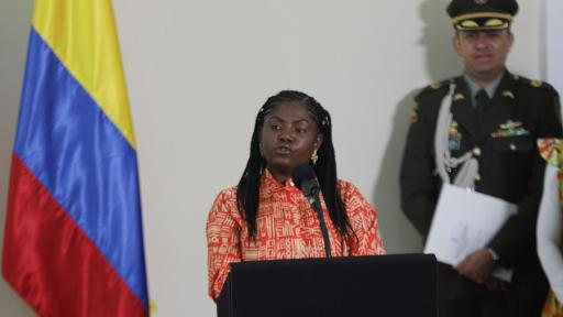 Vicepresidenta pide a grupos armados detener ataques