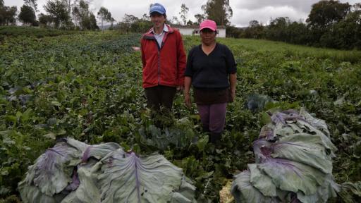 Amplían plazo para que productores obtengan 20% de reembolso en compras